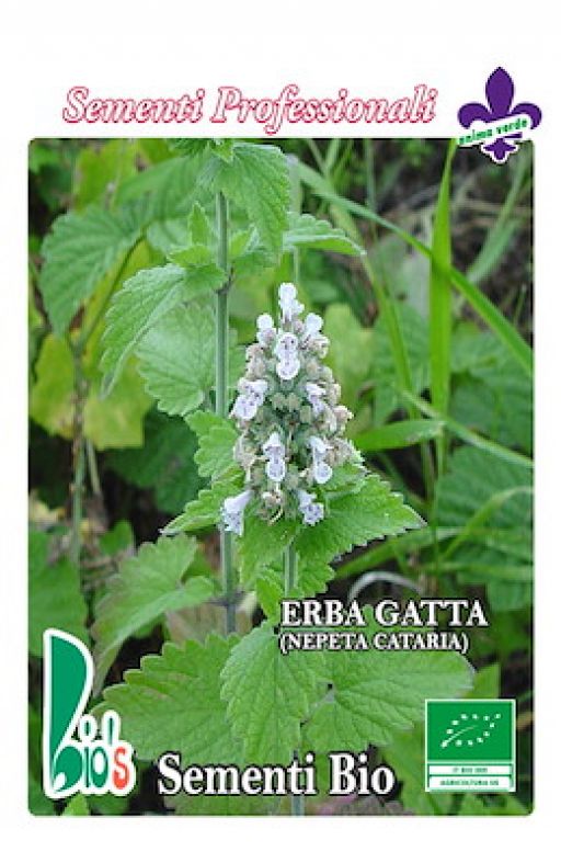 MAČJA METVICA Nepeta cataria Cijena
