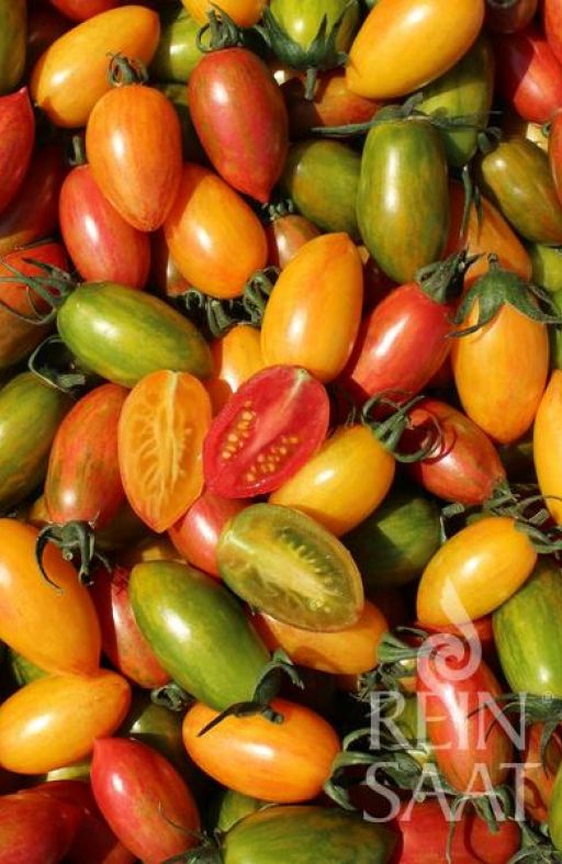 Rajčice mix ARTISAN TIGER Cijena