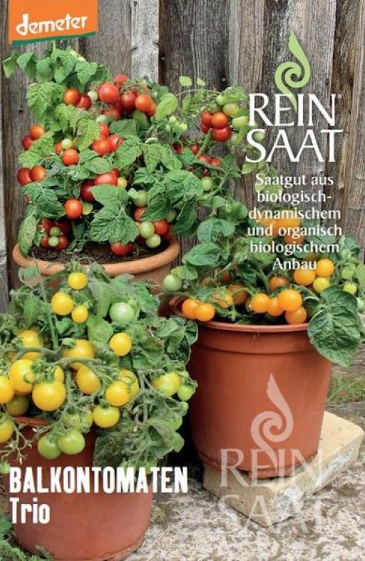 Rajčica BALKONSKI TRIO Cijena