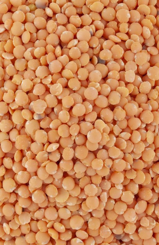 Leća CORAIL ROSANA Cijena