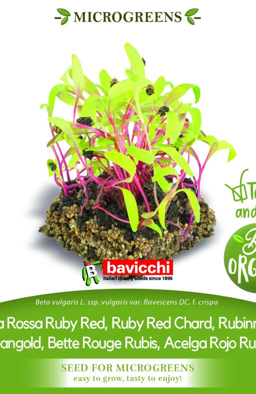 Blitva RUBY RED sjeme za microgreens Cijena