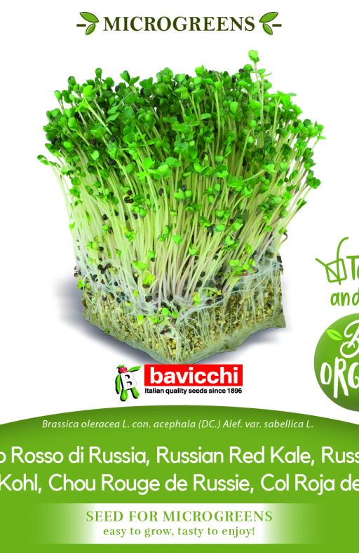 Kelj RED RUSSIAN sjeme za microgreens Cijena