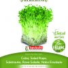 LISNATA REPICA sjeme za microgreens
