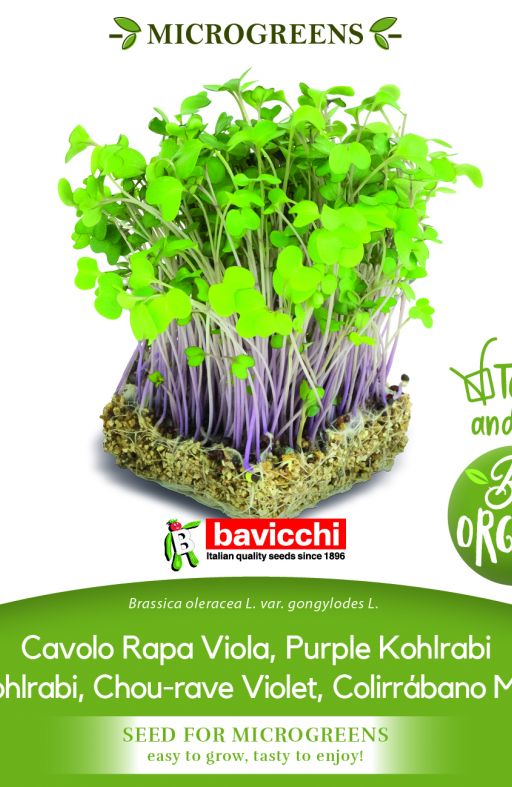 Korabica LJUBIČASTA sjeme za microgreens Cijena