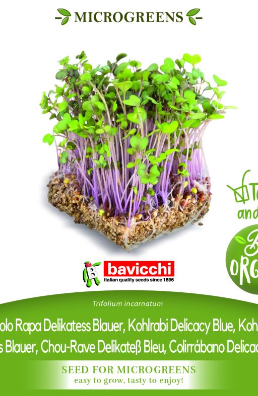 Korabica BLUE DELICACY sjeme za microgreens Cijena