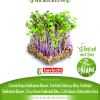 Korabica BLUE DELICACY sjeme za microgreens