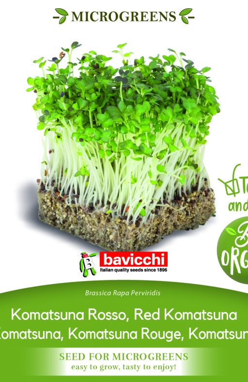 KOMATSUNA RED sjeme za microgreens Cijena