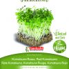 KOMATSUNA RED sjeme za microgreens