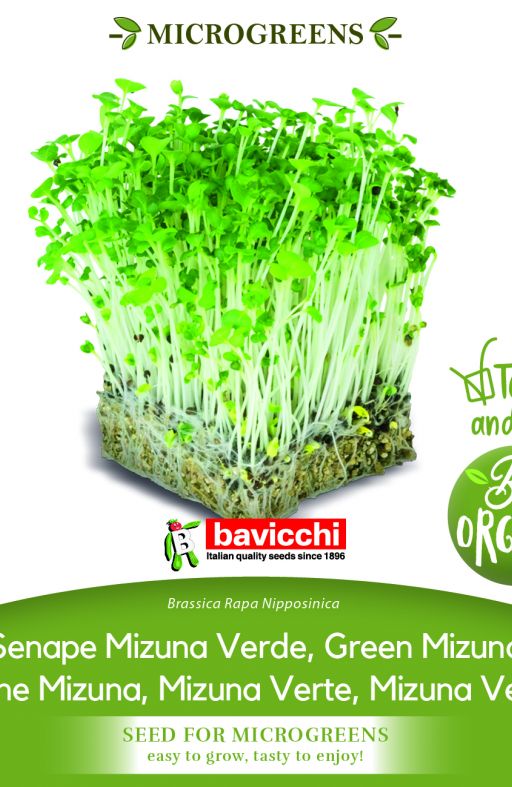 MIZUNA GREEN sjeme za microgreens Cijena