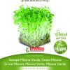 MIZUNA GREEN sjeme za microgreens