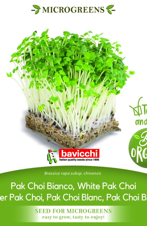 Pak Choi BIJELA STABLJIKA sjeme za microgreens Cijena