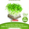 Pak Choi BIJELA STABLJIKA sjeme za microgreens
