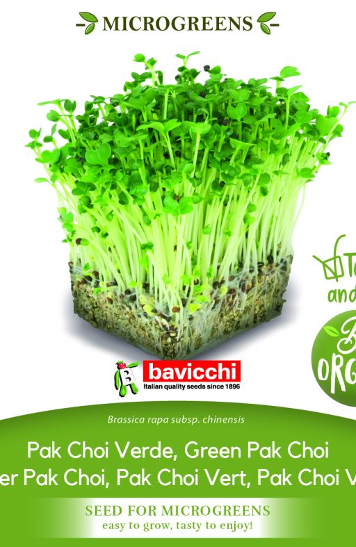 Pak Choi ZELENA STABLJIKA sjeme za microgreens Cijena