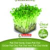 Pak Choi ZELENA STABLJIKA sjeme za microgreens