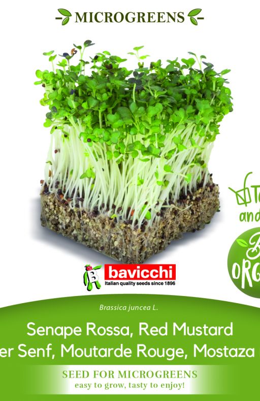 LISNATA GORUŠICA sjeme za microgreens Cijena