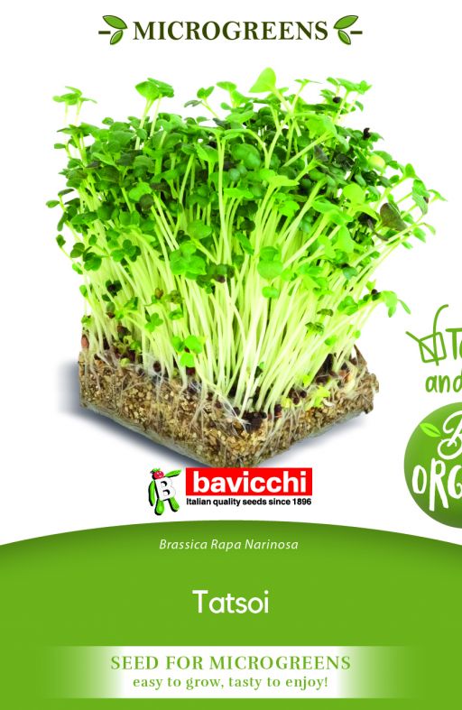 TATSOI sjeme za microgreens Cijena