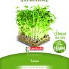 TATSOI sjeme za microgreens