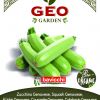 Tikvice GENOVESE